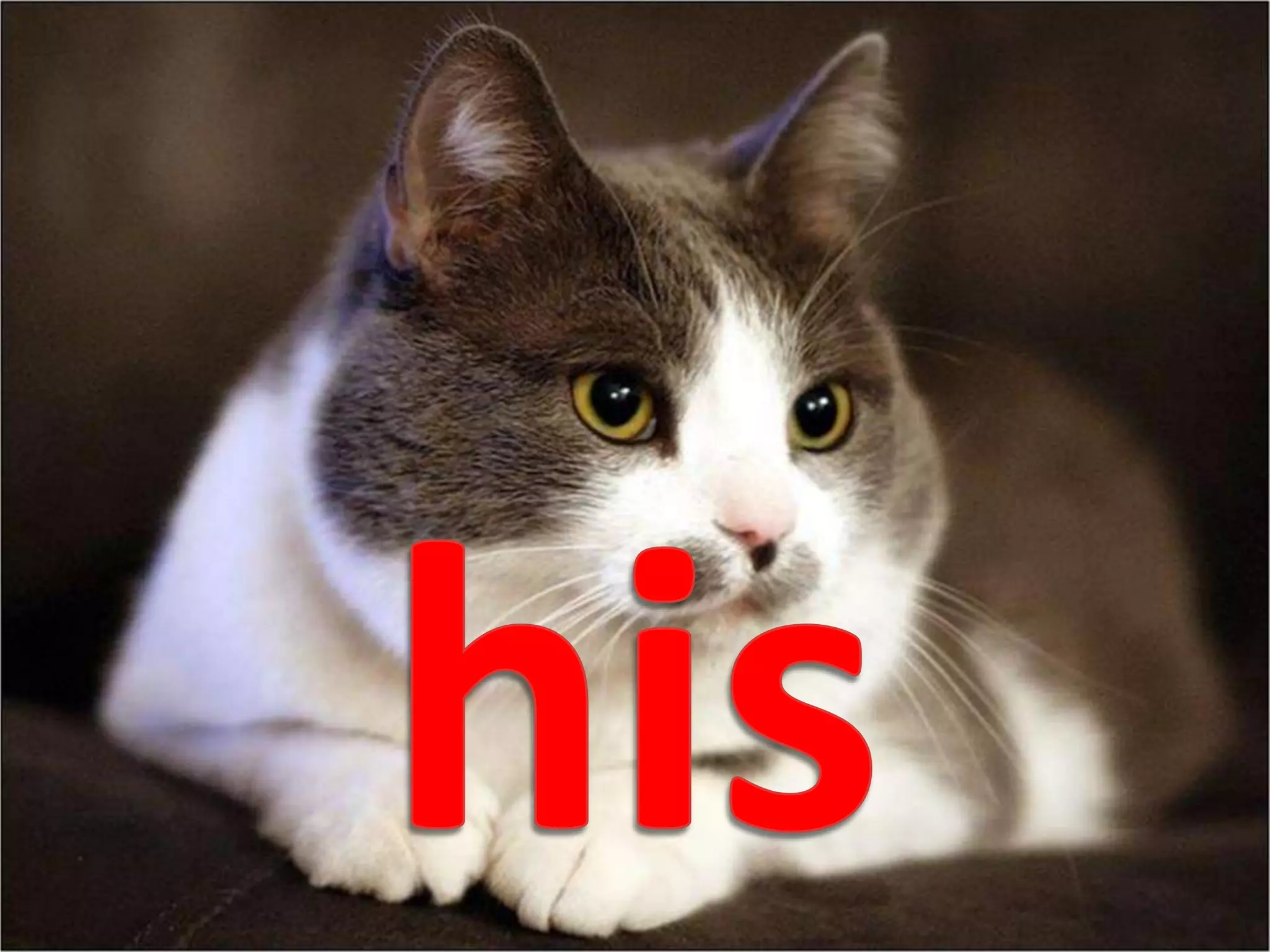 his