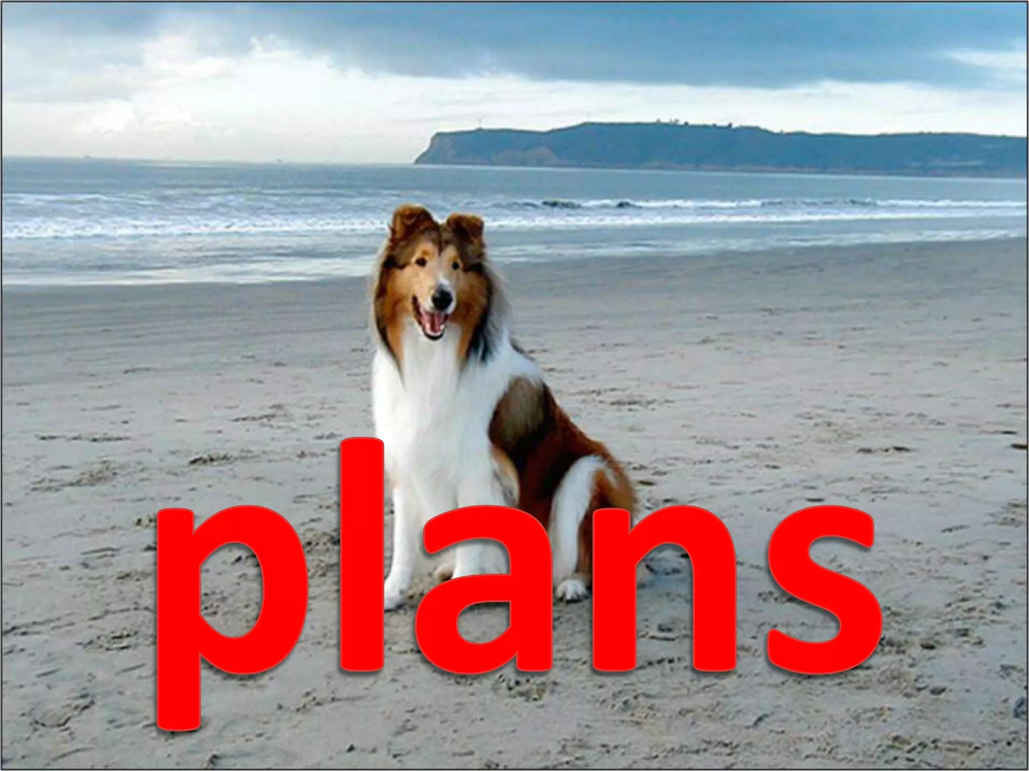 plans
