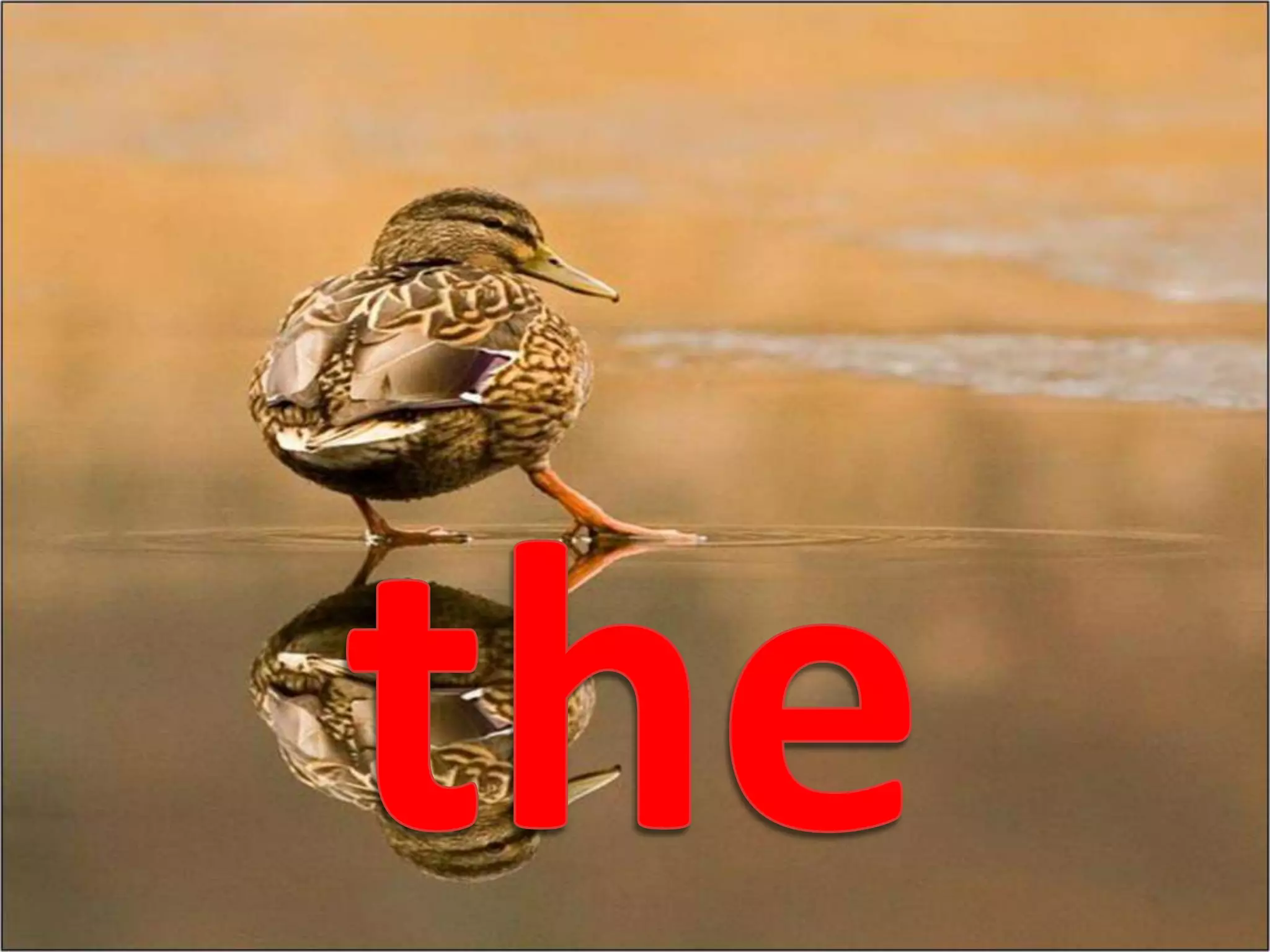 the