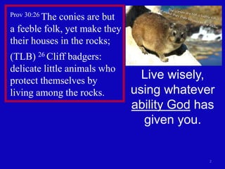 2
Prov 30:26 The conies are but
a feeble folk, yet make they
their houses in the rocks;
(TLB) 26 Cliff badgers:
delicate little animals who
protect themselves by
living among the rocks.
Live wisely,
using whatever
ability God has
given you.
 