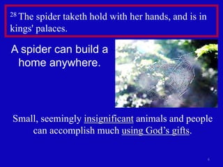 6
28 The spider taketh hold with her hands, and is in
kings' palaces.
A spider can build a
home anywhere.
Small, seemingly insignificant animals and people
can accomplish much using God’s gifts.
 