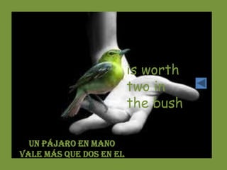 is worth
                         two in
                         the bush

  Un pájaro en mano
vale más que dos en el
        monte
 
