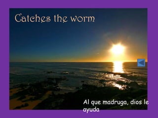 Catches the worm




             Al que madruga, dios le
             ayuda
 