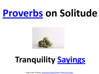 Image Credit: © Werg | Dreamstime Stock Photos & Stock Free Images
Proverbs on Solitude
Tranquility Sayings
 