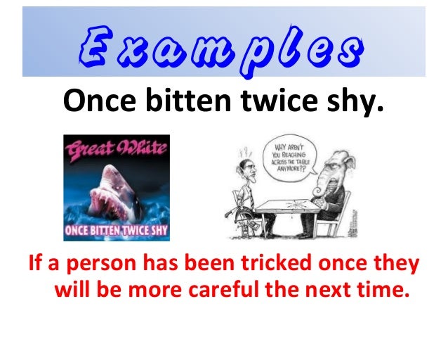 Proverb Once Bitten Twice Shy Meaning