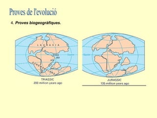 4. Proves biogeogràfiques.
 
