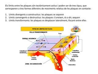 Els límits entre les plaques són tectònicament actius i poden ser de tres tipus, que
corresponen a tres formes diferetns de moviments relatius de les plaques en contacte:
1. Límits divergents o constructius: les plaques se separen
2. Límits convergents o destructius: les plaques s‘uneixen, és a dir, xoquen
3. Límits transformants: les plaques es desplacen lateralment, lliscant entre elles
 