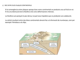 c) XOC ENTRE DUES PLAQUES CONTINENTALS
Si la convergència entre plaques apropa dues vores continentals es produeix una col·lisió on no
hi ha una destrucció de la litosfera sinó unes deformacions intenses.
La litosfera sura perquè és poc densa, la qual cosa impedeix que es produeixi una subducció.
La colisió resultant entre dos blocs continentals donarà lloc a la formació de muntanyes, com per
exemple l’Himàlaia o els Alps.
 