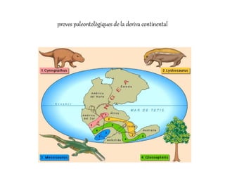 proves paleontològiques de la deriva continental
 