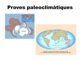 Proves paleoclimàtiques
de la deriva continental


 Silvia
 Joselyn
 Connie
 Ricard
 