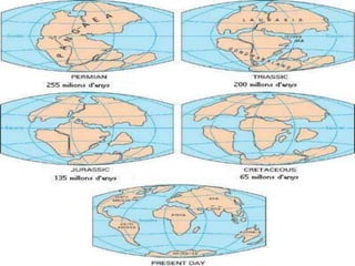 PROVES GEOGRAFIQUES DE LA
   DERIVA CONTINENTAL


 Carlos Arévalo
 Ismael García
 Angie Lool
 Álvaro Posligua
 Ana Reina
 