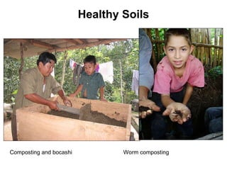 Healthy Soils Composting and bocashi Worm composting 