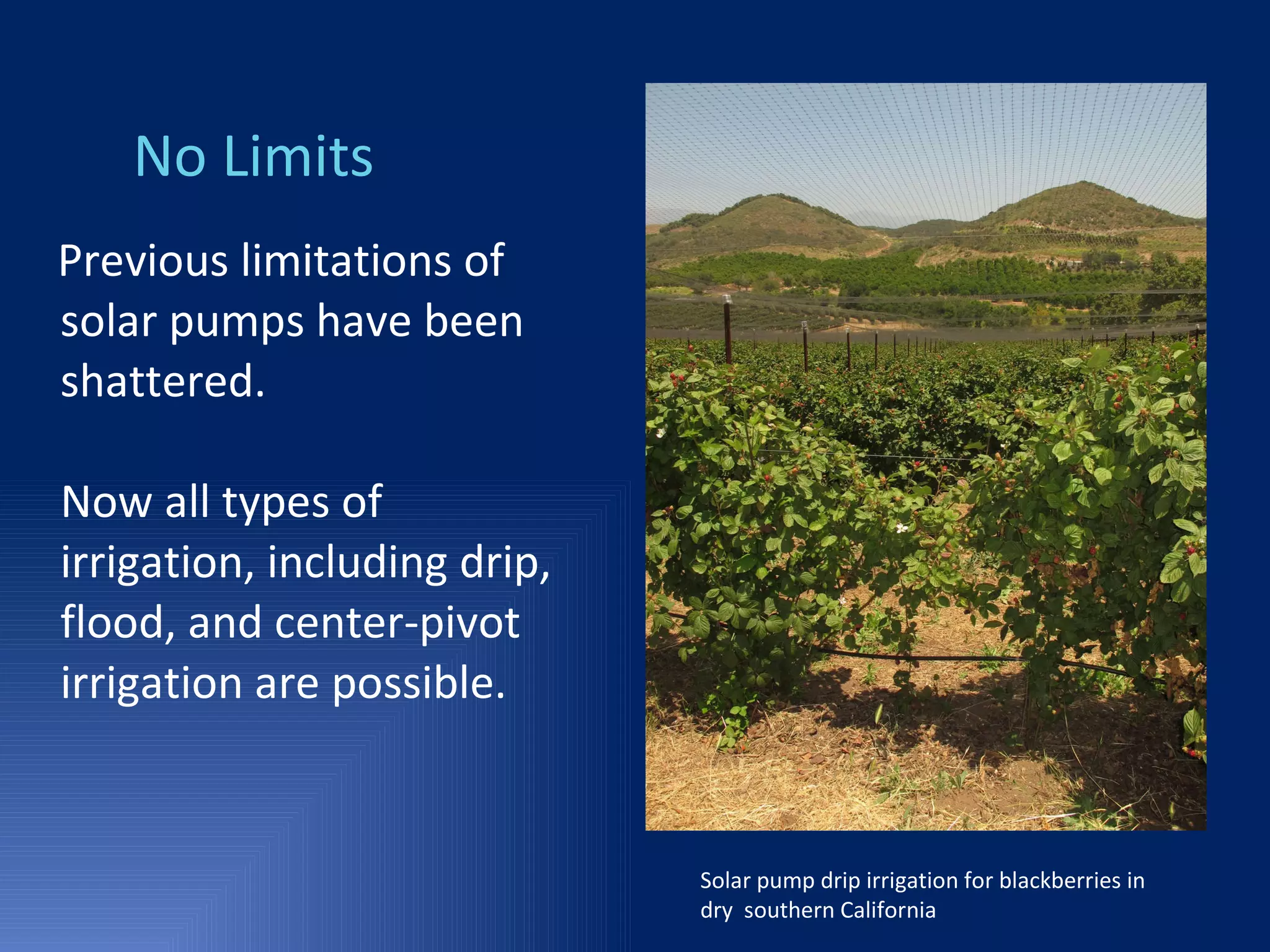 Previous limitations of solar pumps have been shattered. Now all types of irrigation, including drip, flood, and center-pivot irrigation are possible. Solar pump drip irrigation for blackberries in dry  southern California No Limits 
