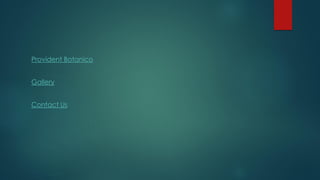 Provident Botanico
Gallery
Contact Us
 