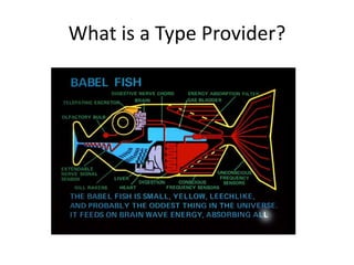 What is a Type Provider?
 