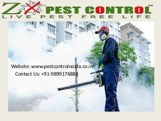 Website: www.pestcontrolnoida.co.in
Contact Us: +91-9899176888
 