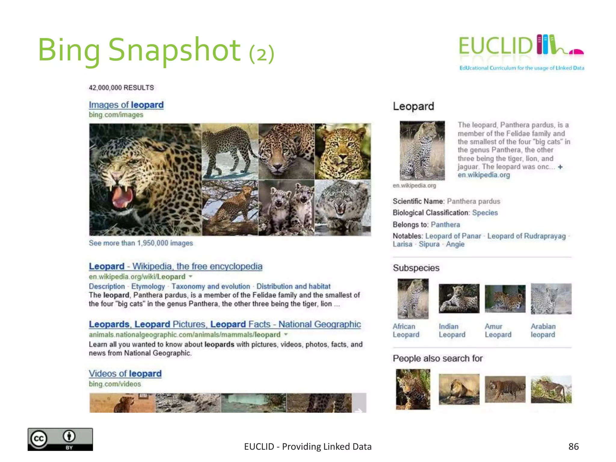 Bing Snapshot (2)
EUCLID - Providing Linked Data 86
 