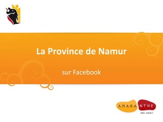 La Province de Namur
sur Facebook
 