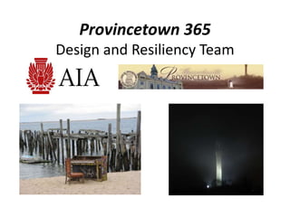 Provincetown 365 
Design and Resiliency Team 
 