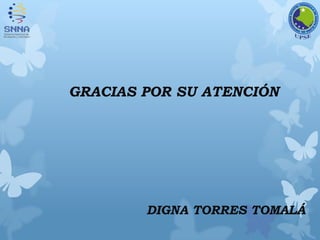 GRACIAS POR SU ATENCIÓN
DIGNA TORRES TOMALÁ
 