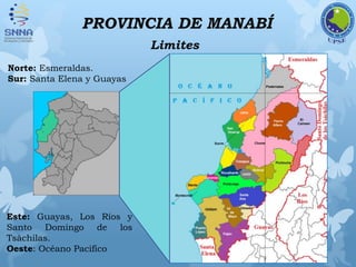 PROVINCIA DE MANABÍ
Limites
Norte: Esmeraldas.
Sur: Santa Elena y Guayas
Este: Guayas, Los Ríos y
Santo Domingo de los
Tsàchilas.
Oeste: Océano Pacifico
 