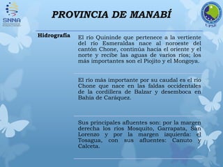PROVINCIA DE MANABÍ
Hidrografía El río Quininde que pertenece a la vertiente
del río Esmeraldas nace al noroeste del
cantón Chone, continúa hacia el oriente y el
norte y recibe las aguas de varios ríos; los
más importantes son el Piojito y el Mongoya.
El río más importante por su caudal es el río
Chone que nace en las faldas occidentales
de la cordillera de Balzar y desemboca en
Bahía de Caráquez.
Sus principales afluentes son: por la margen
derecha los ríos Mosquito, Garrapata, San
Lorenzo y por la margen izquierda: el
Tosagua, con sus afluentes: Canuto y
Calceta.
 