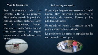 Vías de transporte
Son básicamente de tipo
terrestre y fluvial, las primeras
distribuidas en toda la provincia,
enlazan centros urbanos como
los de Babahoyo, Vinces,
Quevedo y Pueblo Viejo. Para el
transporte fluvial, la región
cuenta con el río Babahoyo y sus
afluentes.
Industria y comercio
El principal ingenio azucarero es el Isabel
María. Hay empresas productoras de
alimentos, de carnes, lácteos y hay
piladoras de arroz.
Se trabaja en redes y atarrayas para la
pesca y confección de calzado.
La producción de arroz es captada por los
mercados de todo el país.
 