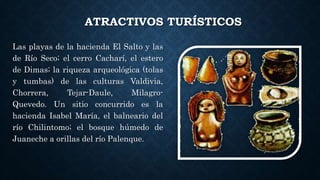 ATRACTIVOS TURÍSTICOS
Las playas de la hacienda El Salto y las
de Río Seco; el cerro Cacharí, el estero
de Dimas; la riqueza arqueológica (tolas
y tumbas) de las culturas Valdivia,
Chorrera, Tejar-Daule, Milagro-
Quevedo. Un sitio concurrido es la
hacienda Isabel María, el balneario del
río Chilintomo; el bosque húmedo de
Juaneche a orillas del río Palenque.
 