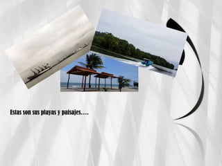 Estas son sus playas y paisajes….
 