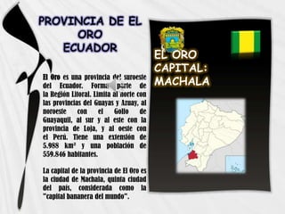 PROVINCIA DE EL
ORO
ECUADOR
El Oro es una provincia del suroeste
del Ecuador. Forma parte de
la Región Litoral. Limita al norte con
las provincias del Guayas y Azuay, al
noroeste con el Golfo de
Guayaquil, al sur y al este con la
provincia de Loja, y al oeste con
el Perú. Tiene una extensión de
5.988 km² y una población de
559.846 habitantes.
La capital de la provincia de El Oro es
la ciudad de Machala, quinta ciudad
del país, considerada como la
"capital bananera del mundo".
EL ORO
CAPITAL:
MACHALA
 