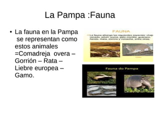 La Pampa :Fauna
● La fauna en la Pampa
se representan como
estos animales
=Comadreja overa –
Gorrión – Rata –
Liebre europea –
Gamo.
 