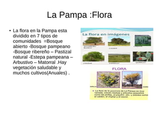 La Pampa :Flora
● La flora en la Pampa esta
dividido en 7 tipos de
comunidades =Bosque
abierto -Bosque pampeano
-Bosque ribereño – Pastizal
natural -Estepa pampeana –
Arbustivo – Matorral .Hay
vegetación saludable y
muchos cultivos(Anuales) .
 