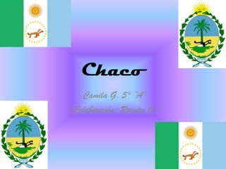 Chaco
   Camila G. 5° “A”
(Colaboración: Ramiro G.)
 