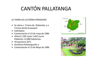 CANTÓN PALLATANGA 
LA TIERRA DE LA ETERNA PRIMAVERA 
 Se ubica a 2 horas de Riobamba, y a 
3 horas desde Guayaquil. 
 Subtrópico 
 Cantonización el 13 de mayo de 1986 
 Altitud 1.285 hasta 1.462 msnm 
Población 12.000 habitantes. 
 Temperatura 20°C. 
 Gentilicio:Pallatangueño-a 
 Cantonización el 13 de Mayo de 1986 
 