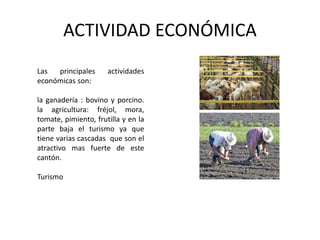 ACTIVIDAD ECONÓMICA 
Las principales actividades 
económicas son: 
la ganadería : bovino y porcino. 
la agricultura: fréjol, mora, 
tomate, pimiento, frutilla y en la 
parte baja el turismo ya que 
tiene varias cascadas que son el 
atractivo mas fuerte de este 
cantón. 
Turismo 
 