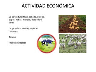 ACTIVIDAD ECONÓMICA 
La agricultura: trigo, cebada, quinua, 
papas, habas, melloco, ocas entre 
otras. 
La ganadería: ovina y especies 
menores. 
Tejidos 
Productos lácteos 
 