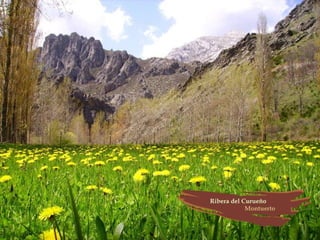 Provincia de León (España)
