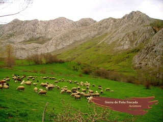Provincia de León (España)