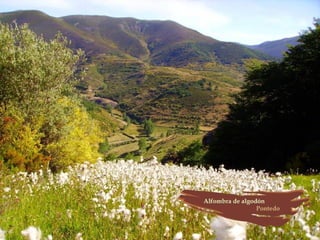 Provincia de León (España)