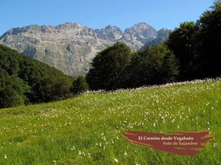 Provincia de León (España)