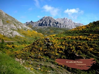 Provincia de León (España)