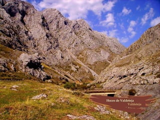 Provincia de León (España)