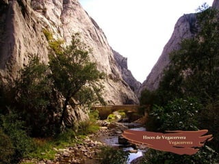 Provincia de León (España)