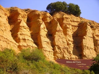 Provincia de León (España)