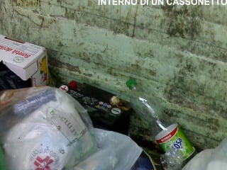 COMUNE DI ARCOLA INTERNO DI UN CASSONETTO 