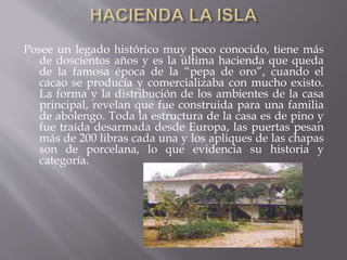 Posee un legado histórico muy poco conocido, tiene más 
de doscientos años y es la última hacienda que queda 
de la famosa época de la “pepa de oro”, cuando el 
cacao se producía y comercializaba con mucho existo. 
La forma y la distribución de los ambientes de la casa 
principal, revelan que fue construida para una familia 
de abolengo. Toda la estructura de la casa es de pino y 
fue traída desarmada desde Europa, las puertas pesan 
más de 200 libras cada una y los apliques de las chapas 
son de porcelana, lo que evidencia su historia y 
categoría. 
 