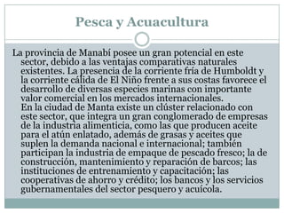 Pesca y Acuacultura
La provincia de Manabí posee un gran potencial en este
sector, debido a las ventajas comparativas naturales
existentes. La presencia de la corriente fría de Humboldt y
la corriente cálida de El Niño frente a sus costas favorece el
desarrollo de diversas especies marinas con importante
valor comercial en los mercados internacionales.
En la ciudad de Manta existe un clúster relacionado con
este sector, que integra un gran conglomerado de empresas
de la industria alimenticia, como las que producen aceite
para el atún enlatado, además de grasas y aceites que
suplen la demanda nacional e internacional; también
participan la industria de empaque de pescado fresco; la de
construcción, mantenimiento y reparación de barcos; las
instituciones de entrenamiento y capacitación; las
cooperativas de ahorro y crédito; los bancos y los servicios
gubernamentales del sector pesquero y acuícola.
 