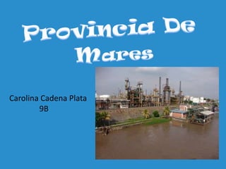 Provincia De  Mares Carolina Cadena Plata                9B 