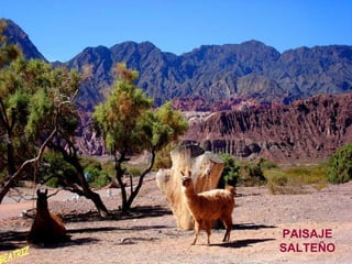 PAISAJE SALTEÑO BEATRIZ 