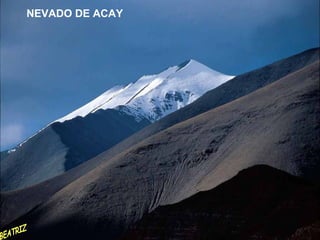 NEVADO DE ACAY BEATRIZ 